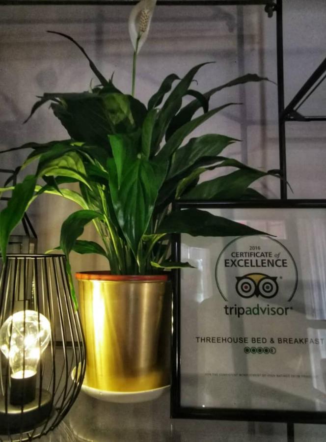 Treehouse Hostel Kuching Kültér fotó